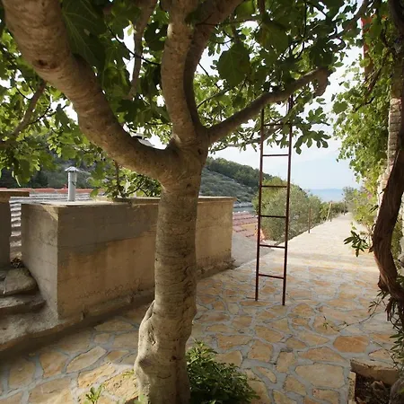 Stone House Mia Vela Luka